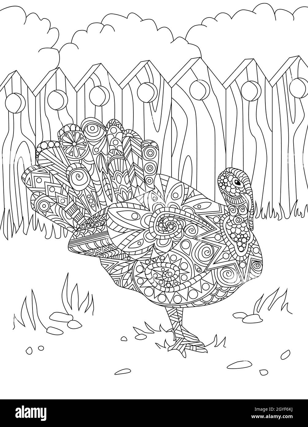 Line Drawing Of Peacock Bird Standing Alone Looking Away Inside Fence. Stock Photo