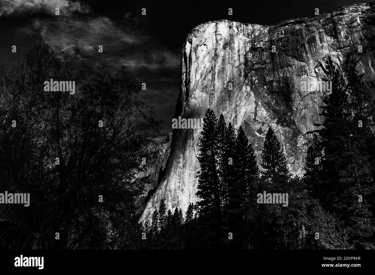 World famous rock climbing wall of El Capitan, Yosemite national park