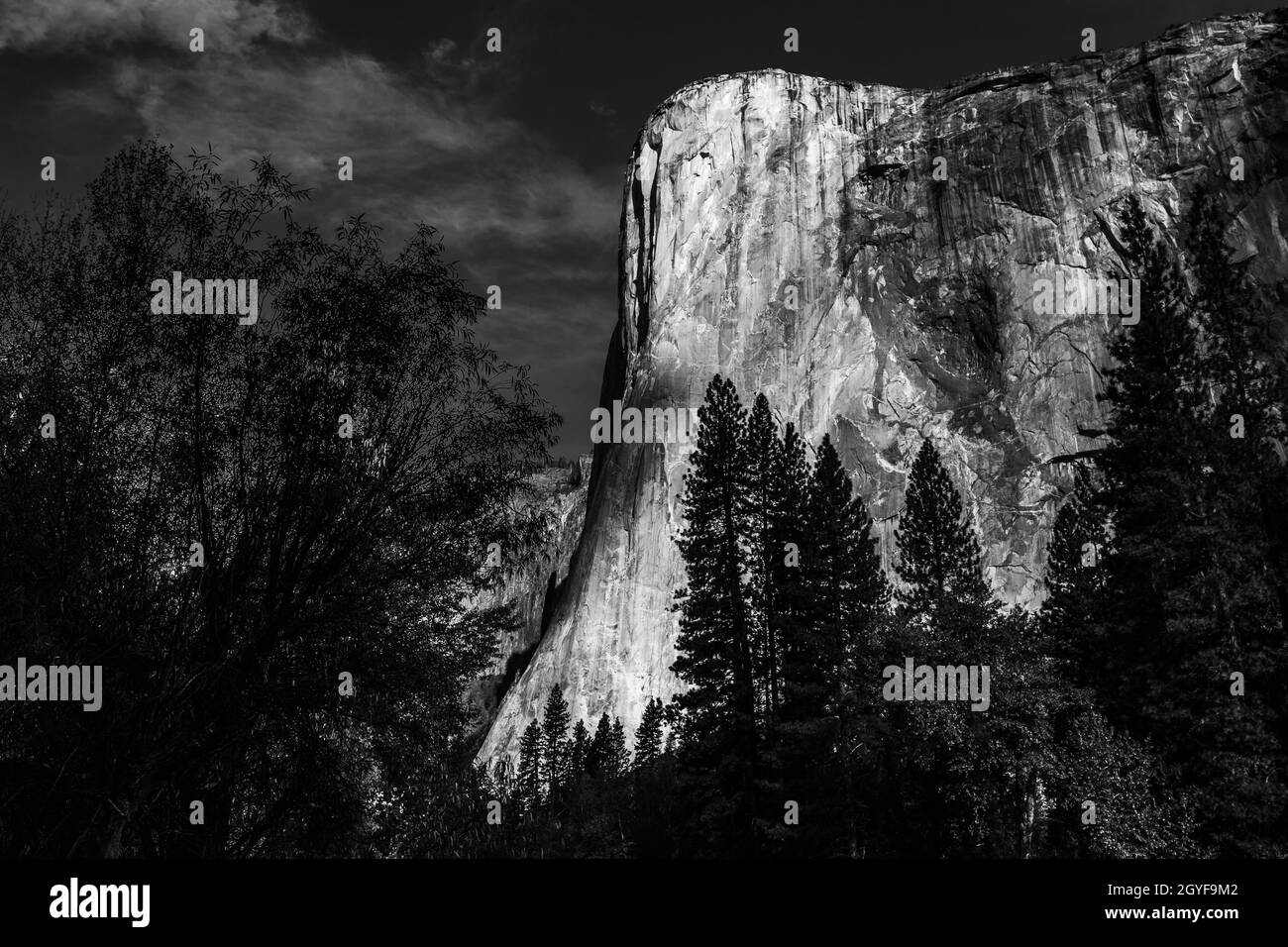 World famous rock climbing wall of El Capitan, Yosemite national park, California, usa Stock