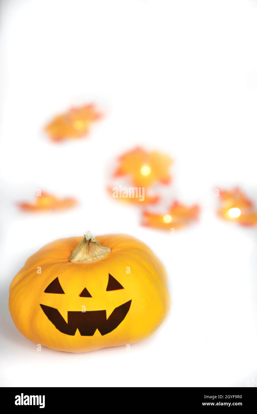Halloween Jack O Lantern with autumn foliage isolated on white ...