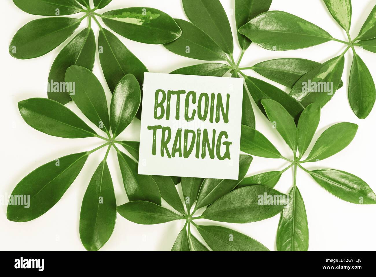 Inspiration showing sign Bitcoin Trading, Word for buying and selling of cryptocurrency in stocks market Saving Environment Ideas And Plans, Creating Stock Photo