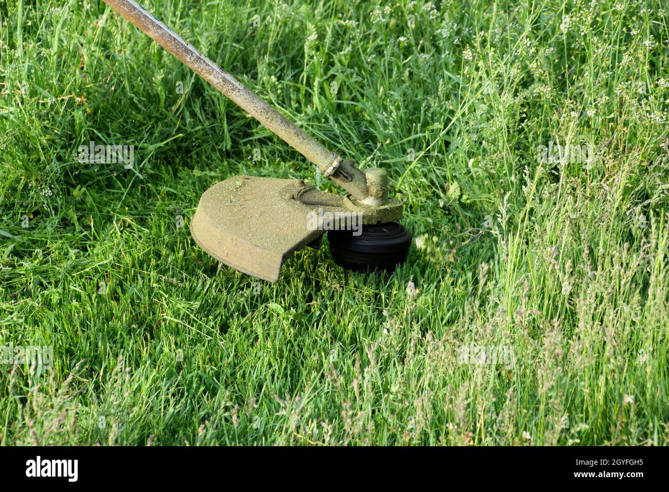Mowing green grass using a fishing line trimmer. Application trimmers