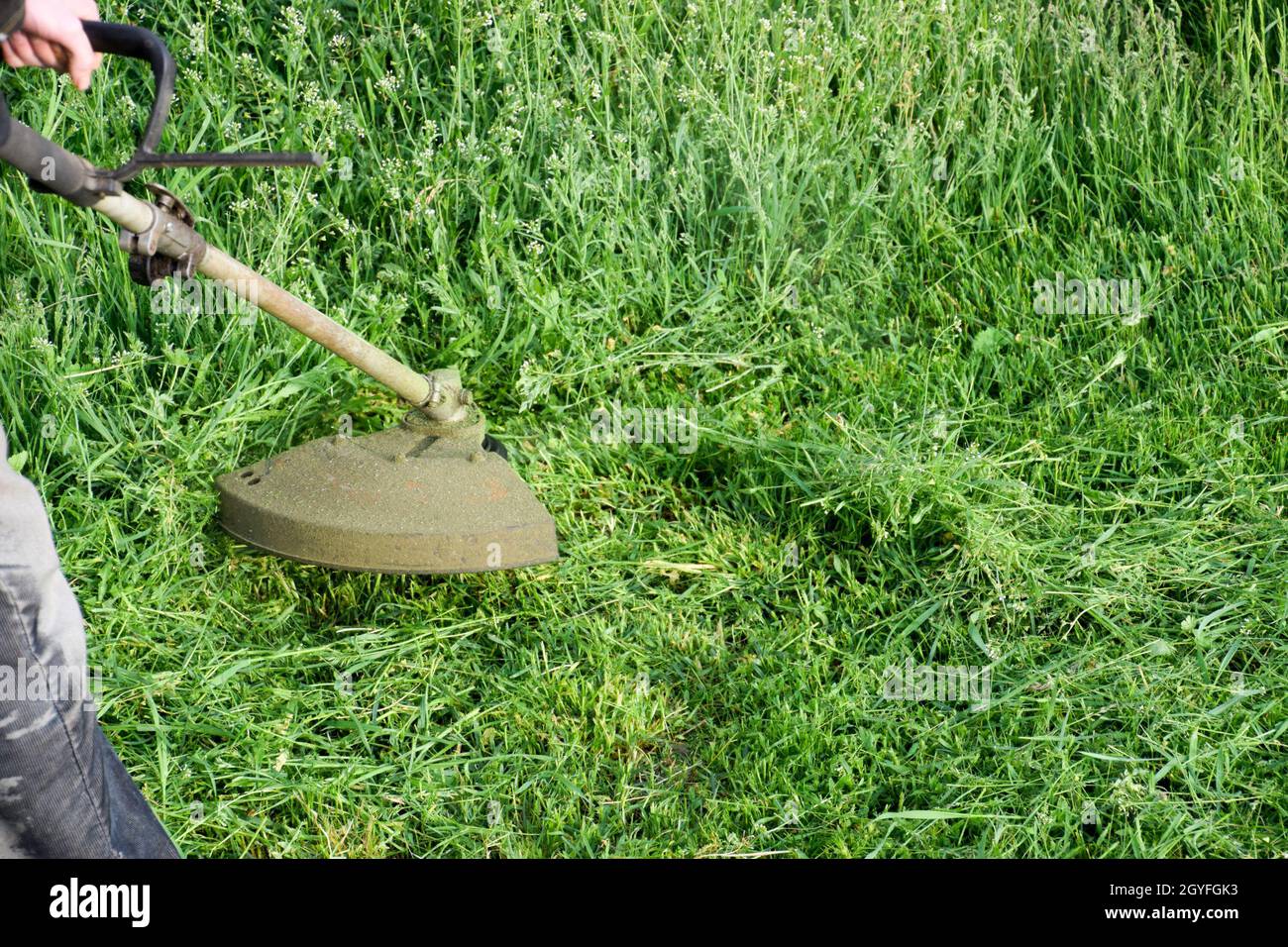Mowing green grass using a fishing line trimmer. Application trimmers