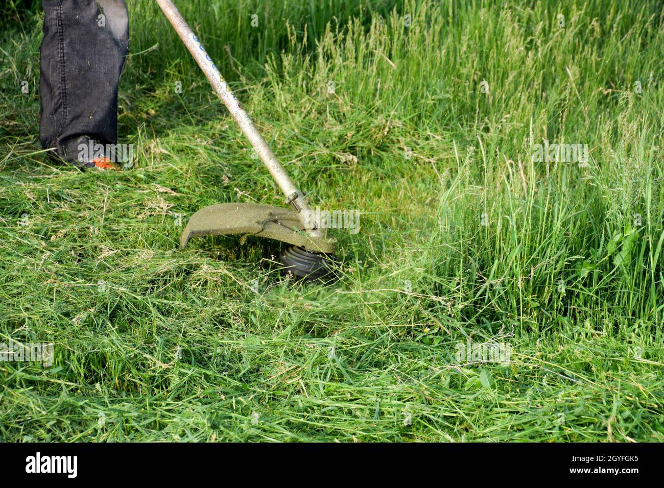 Mowing green grass using a fishing line trimmer. Application trimmers