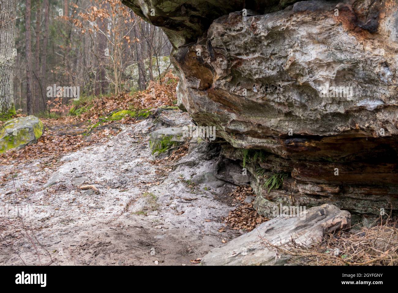 mushroom rock formation in sandstones covered with green moss in the ...