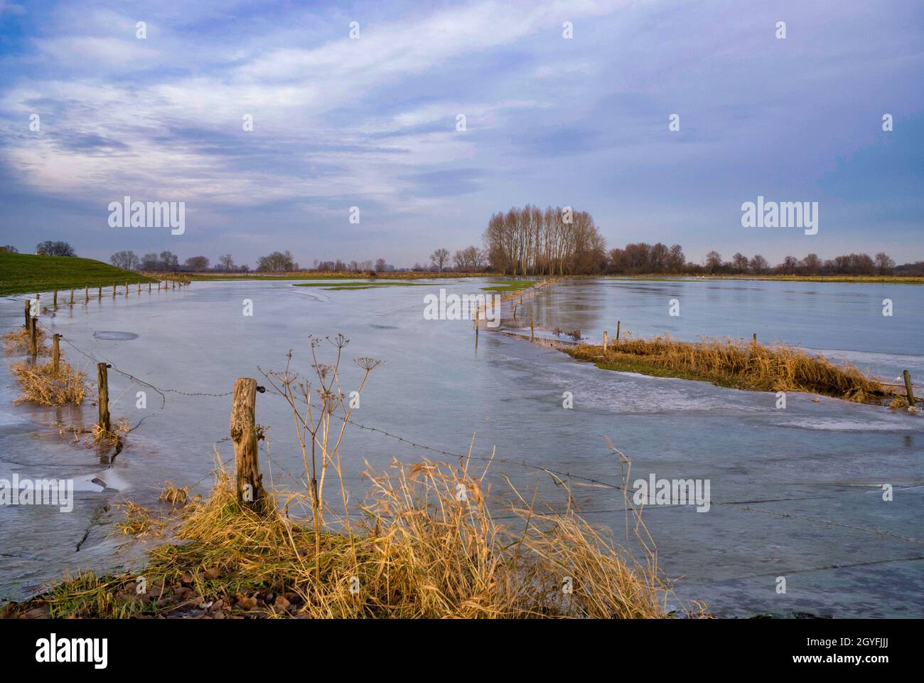 Frozen and flooded river foreland along the river IJssel Stock Photo ...