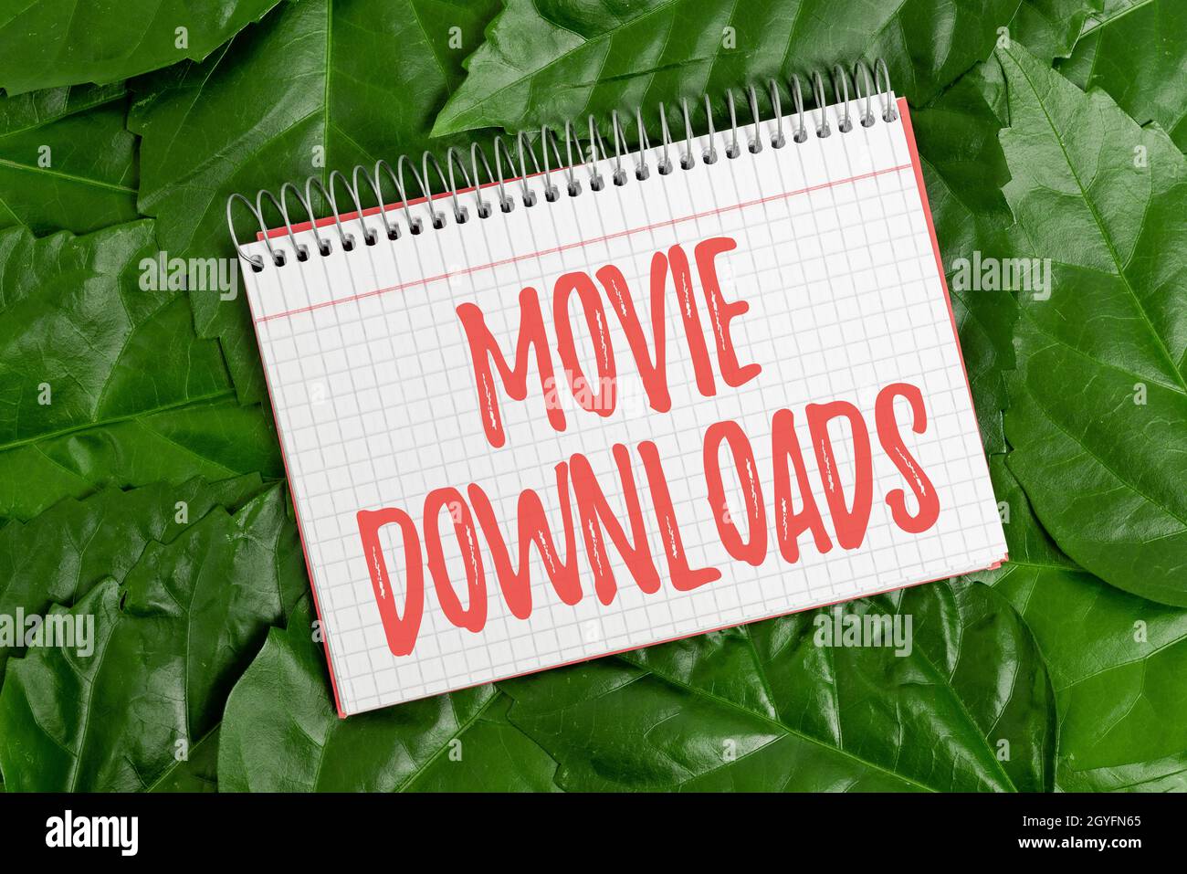 Text showing inspiration Movie Downloads, Business concept transfers entire film for local storage and later use Nature Conservation Ideas, New Enviro Stock Photo