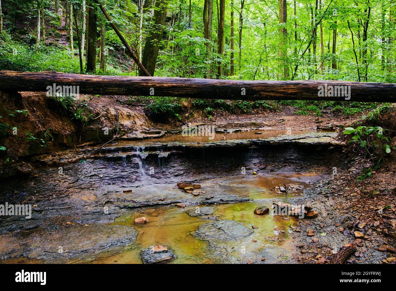 Large log over brown cliffy river Stock Photo