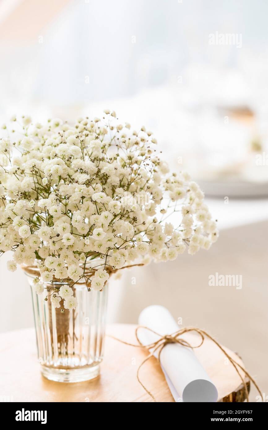 dried gypsophila or dried Baby's Breath in the vase Stock Photo - Alamy