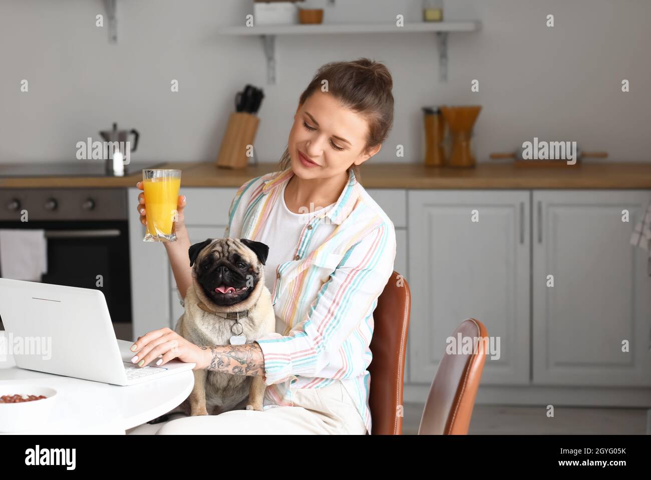 Young woman with cute pug dog drinking juice in kitchen Stock Photo