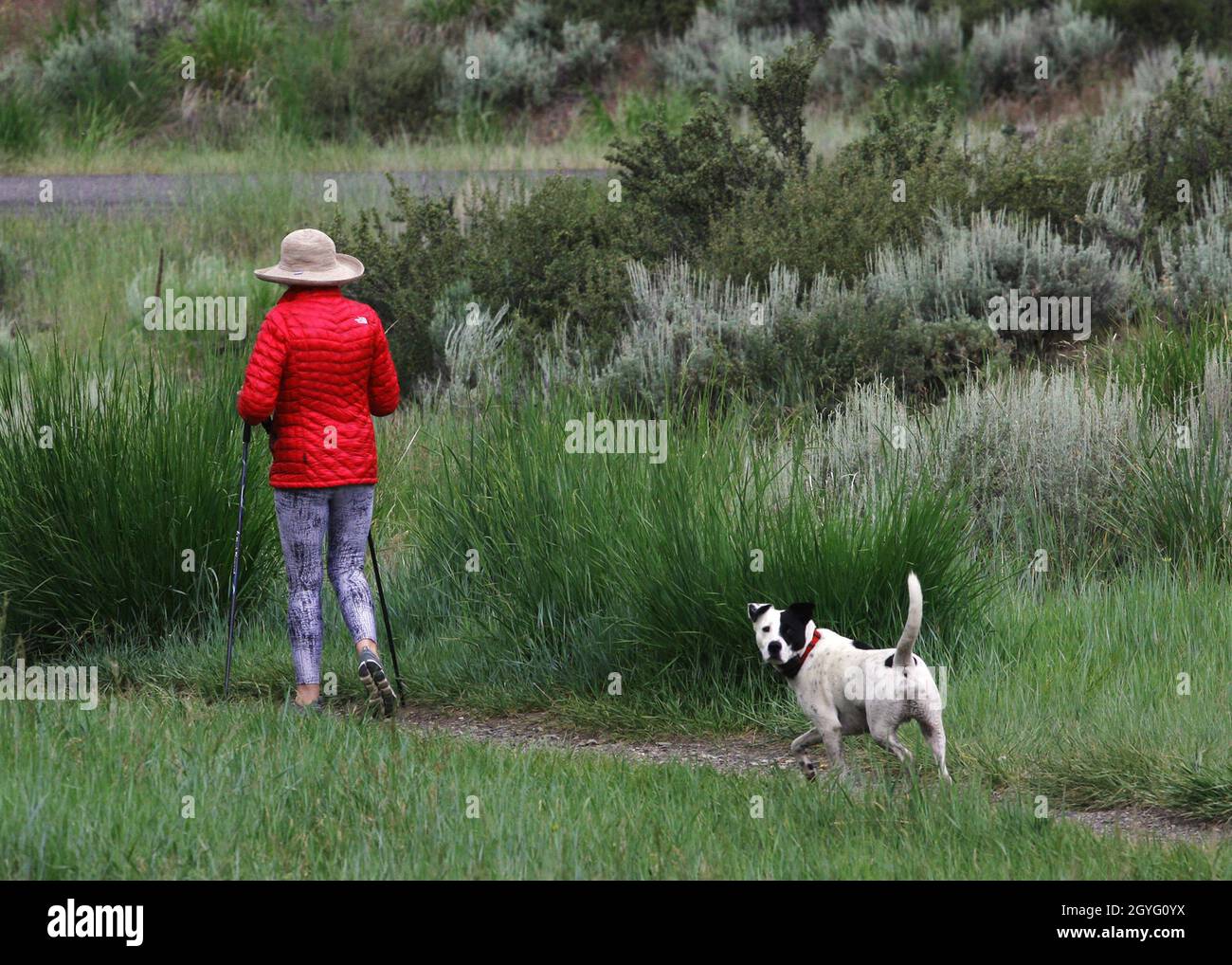 Exercising with pet in Sun Valley, Idaho Stock Photo