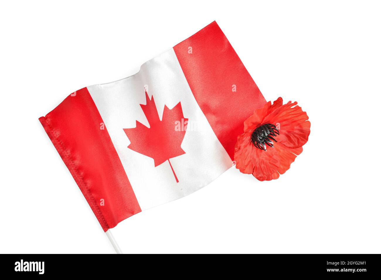 Poppy flower and flag of Canada on white background. Remembrance Day
