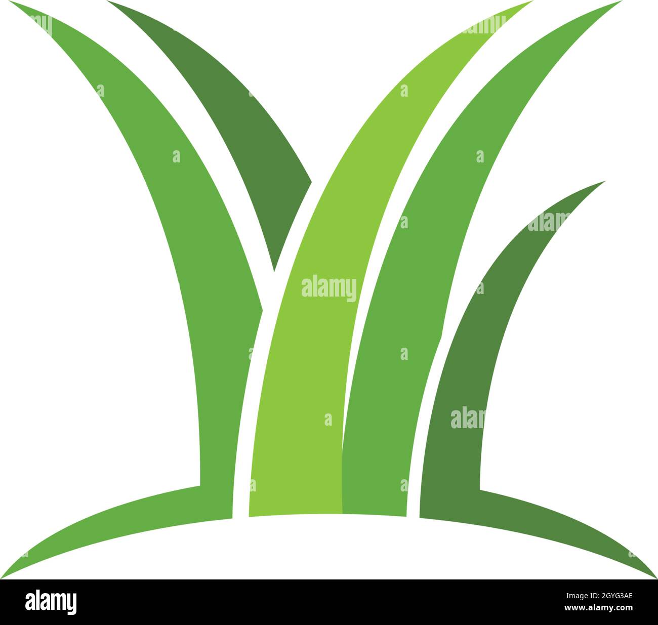 Grass ilustration vector template Stock Vector