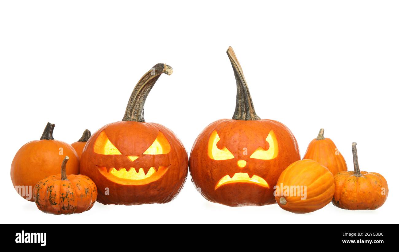 Carved pumpkins for Halloween on white background Stock Photo - Alamy