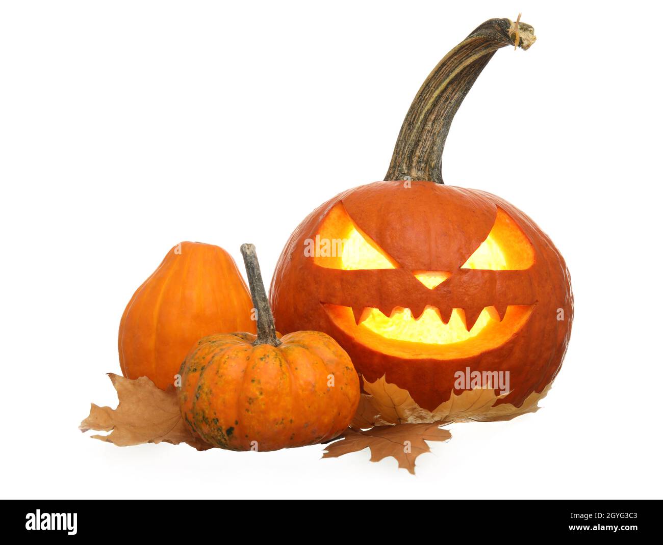 Carved and whole pumpkins for Halloween on white background Stock Photo ...