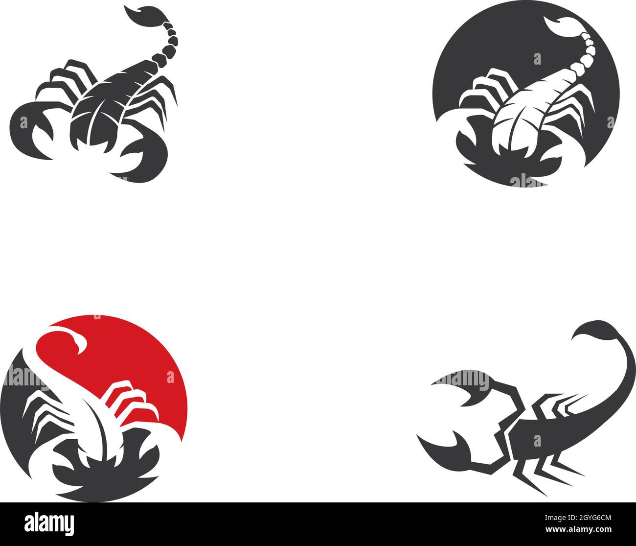 Scorpion Logo Template Vector illustration Stock Vector