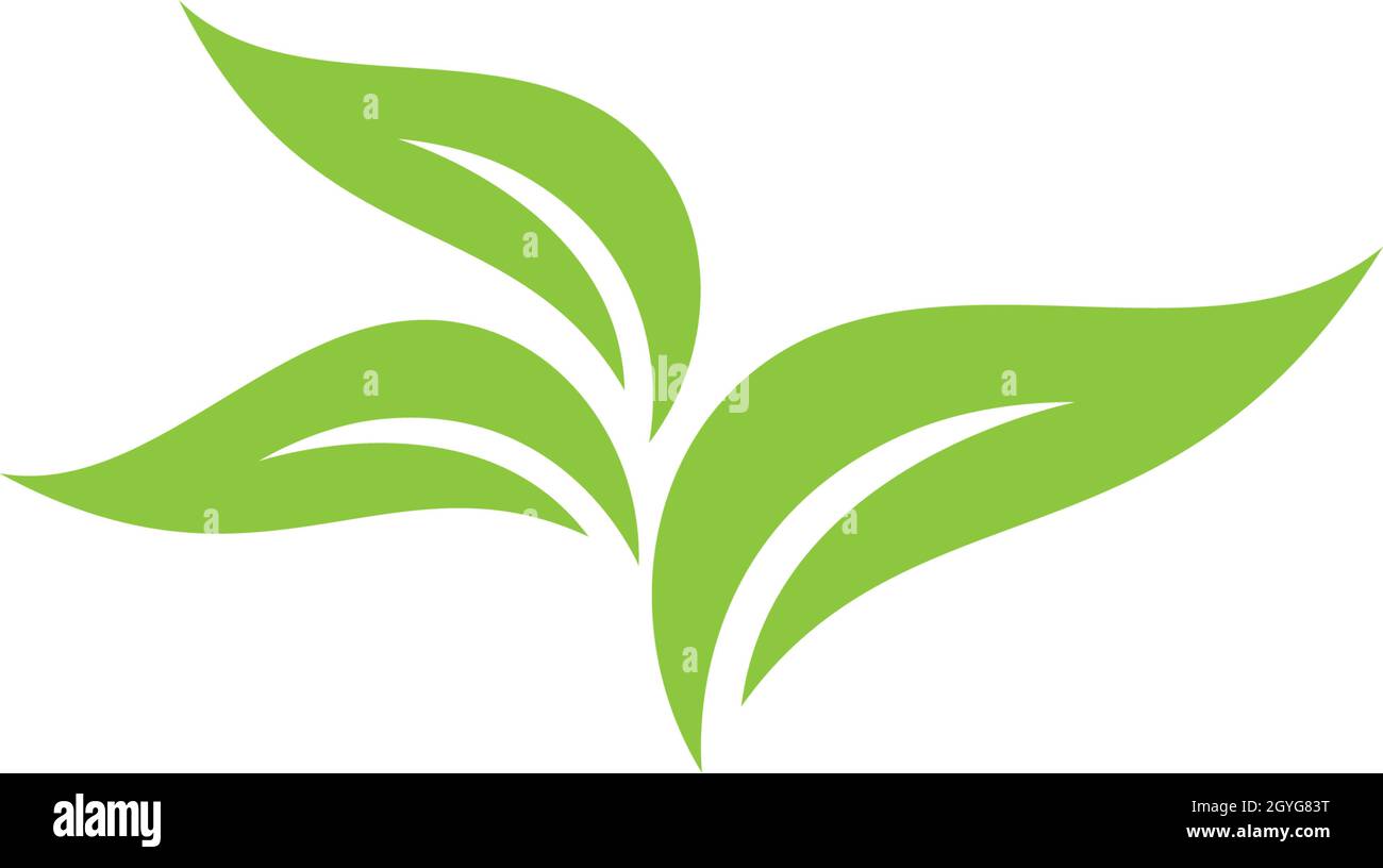 Logos of green leaf ecology nature element vector icon Stock Vector ...