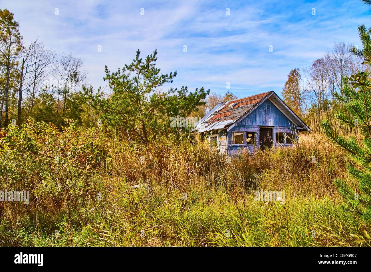 Abandoned cabin in an overgrown wood Stock Photo