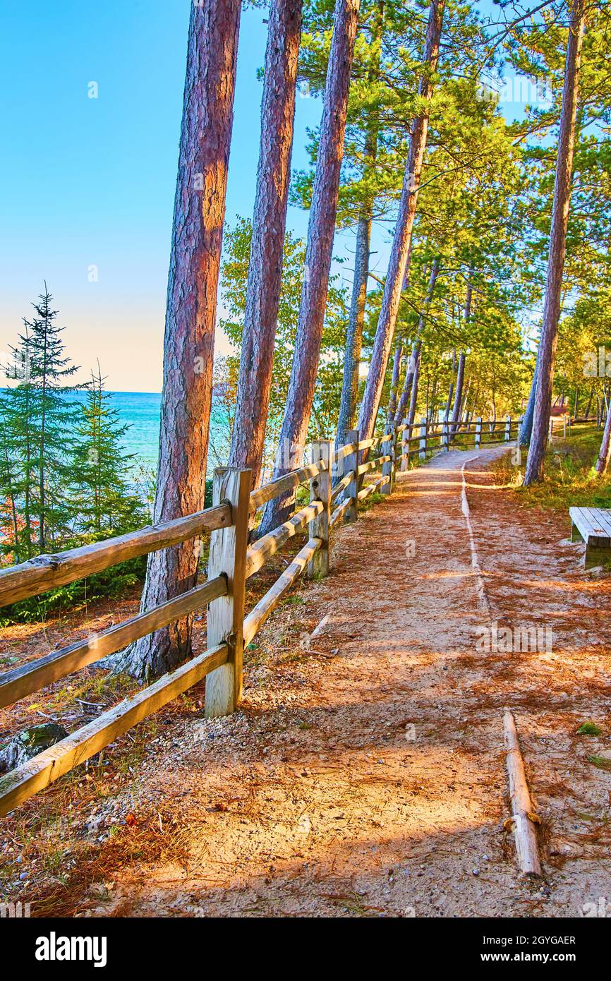 Sparse forest path with trees on the other side of a wooden rail and a ...