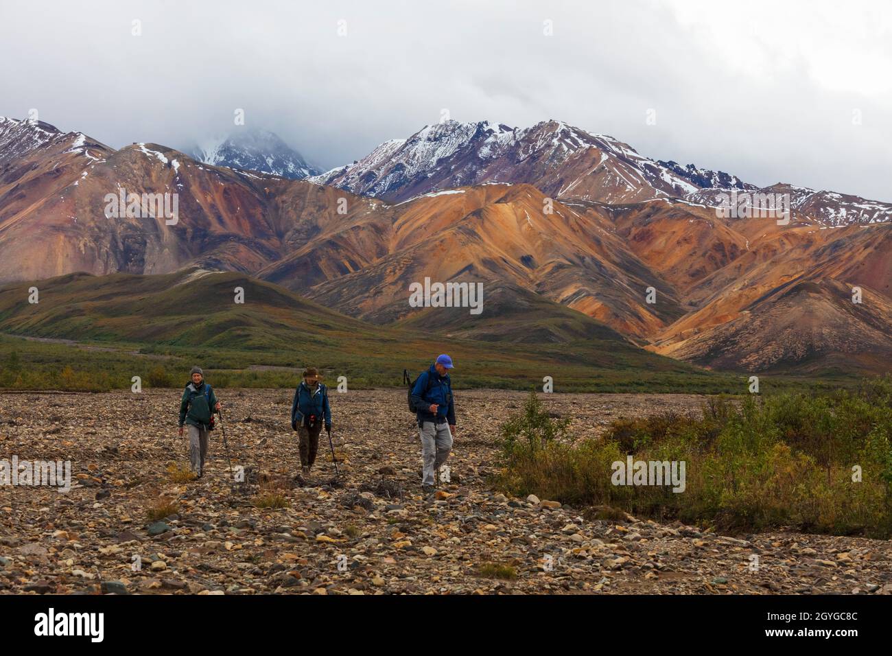 Hikers in the Polychrome area where streams drain the Toklat River Valley DENALI NATIONAL PARK