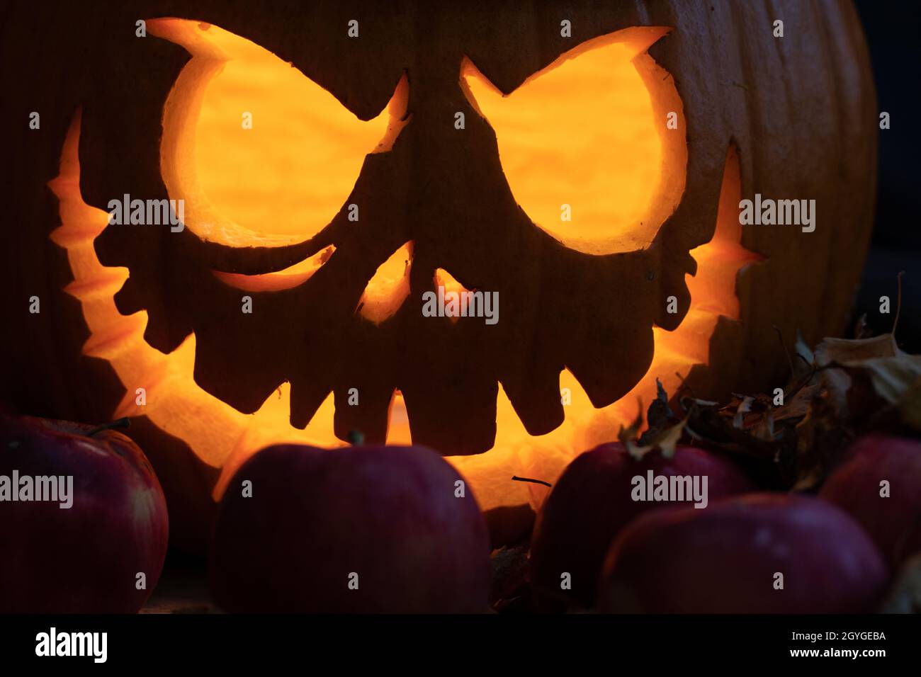 Carved shining orange pumpkin on black background. Some red apples in foreground. Decoration for Halloween party. Jack-o-lantern adds some horror and Stock Photo