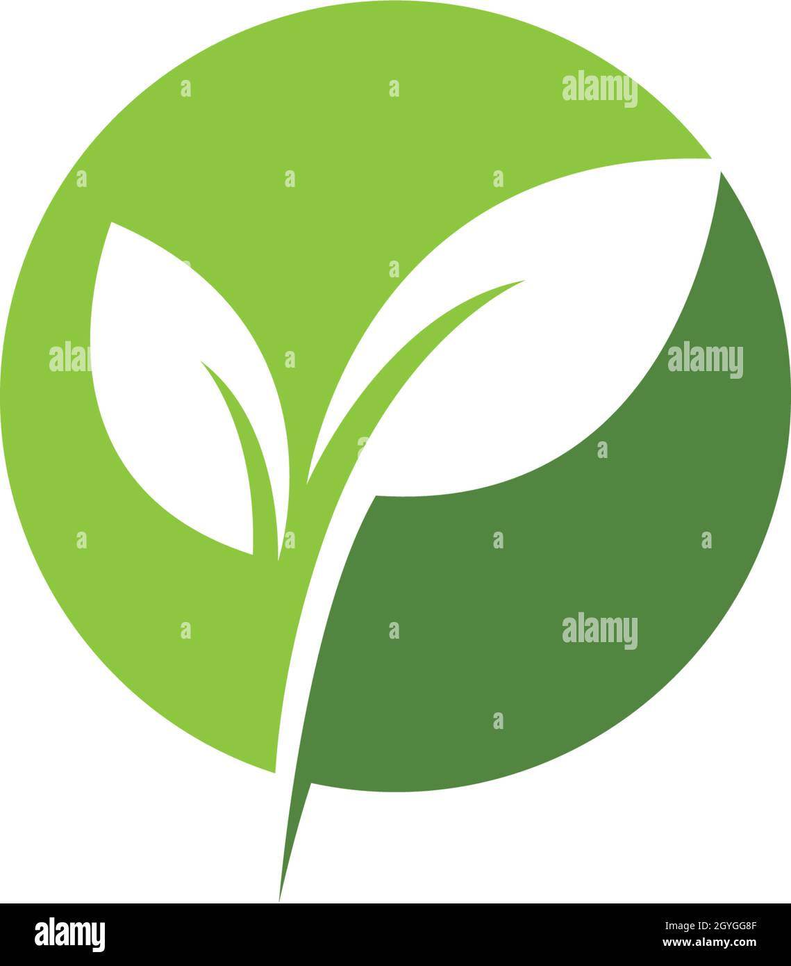 green leaf ecology logo vector template Stock Vector Image & Art - Alamy