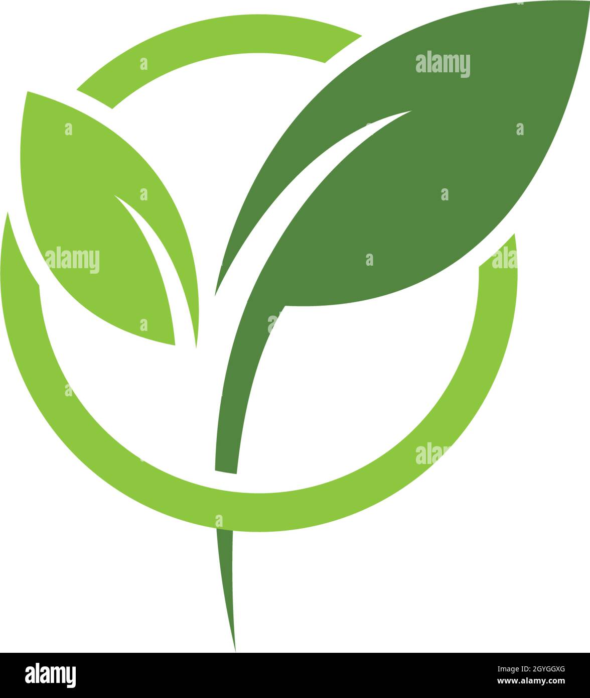 green leaf ecology logo vector template Stock Vector Image & Art - Alamy