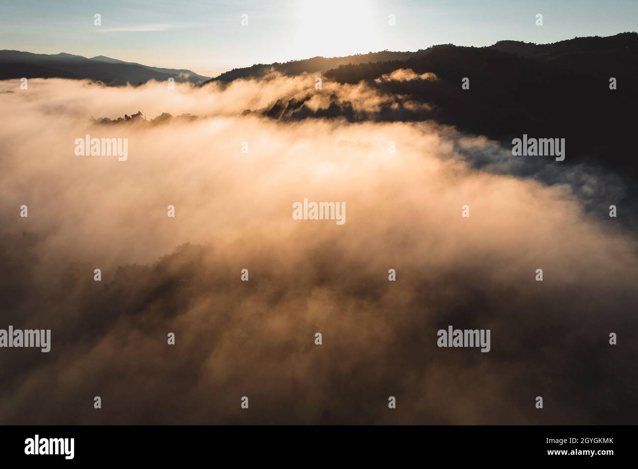 morning fog in the forest from above in summer Stock Photo - Alamy