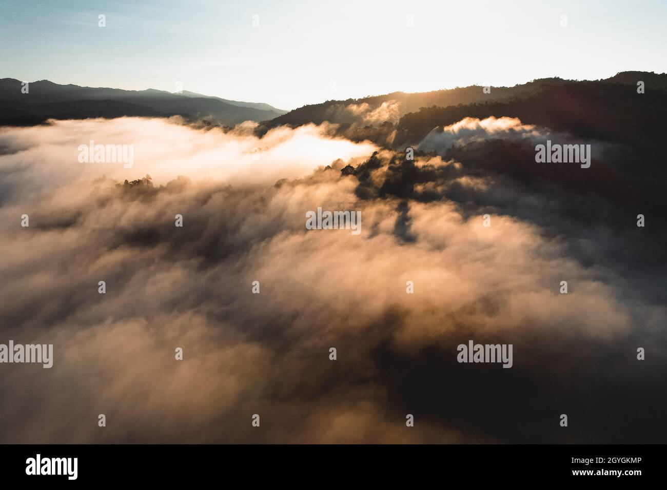 morning fog in the forest from above in summer Stock Photo - Alamy