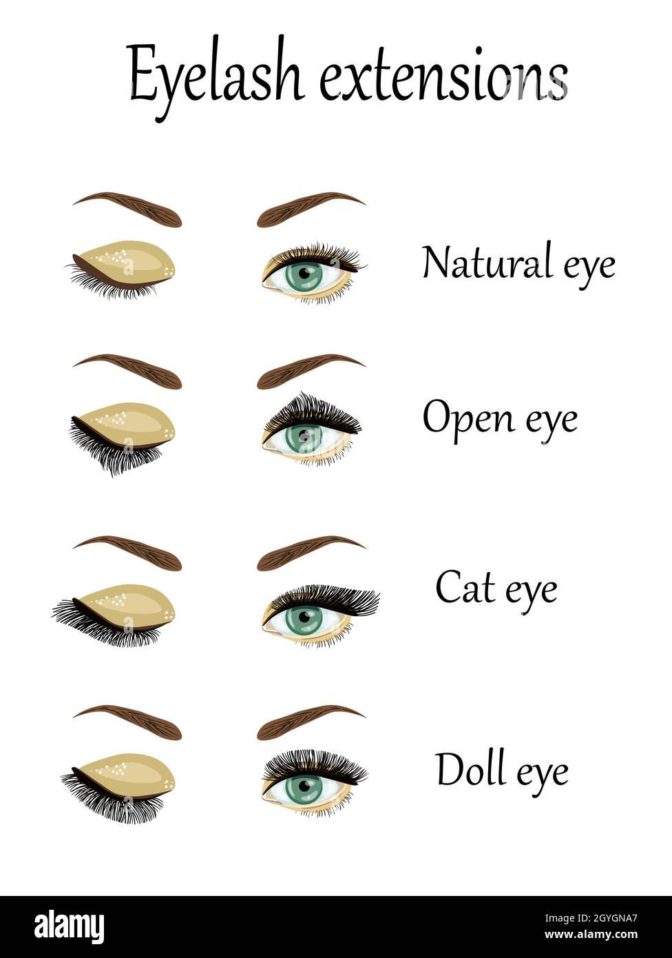 Eyelash Extension types and forms. Infographic vector illustration