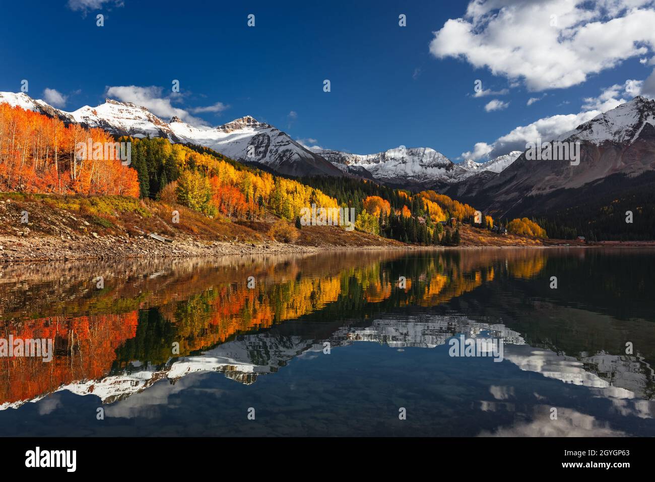 Scenic autumn landscape with golden Aspen trees reflecting in the waters of Trout Lake in the San Juan Mountains near Telluride, Colorado Stock Photo