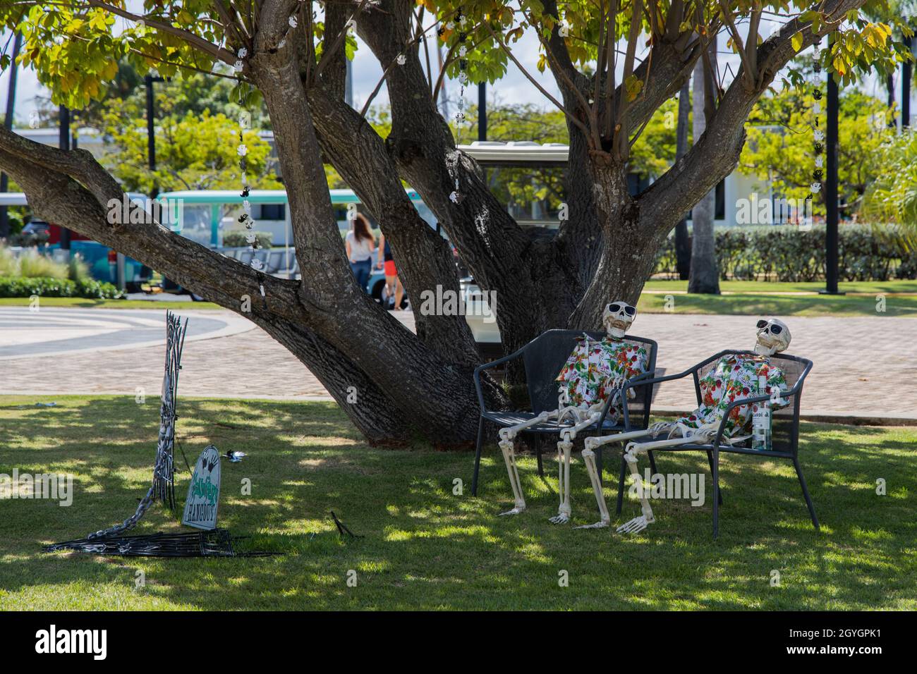 Skeletons sitting under a tree in a park Stock Photo - Alamy