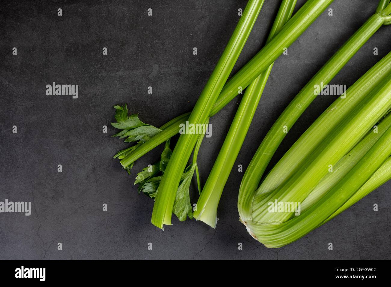 Freshly harvested celery stalk on dark stone background Stock Photo
