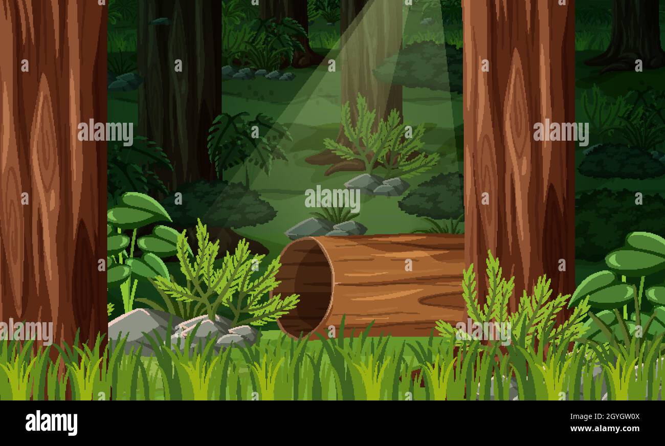 Nature forest landscape background illustration Stock Vector Image ...