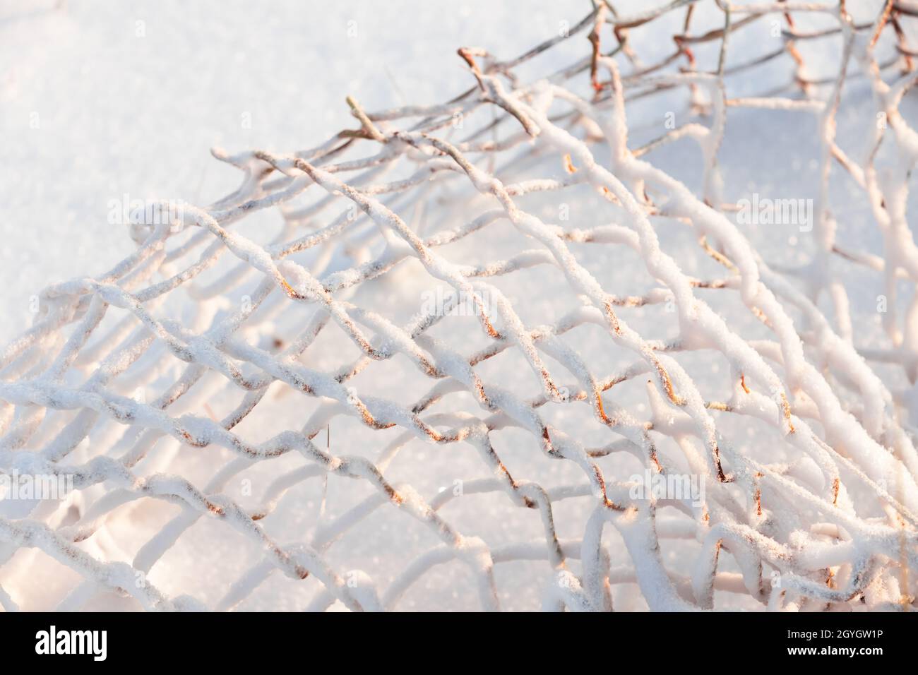 Abstract winter photo with rusty fence cage Rabitz covering with white snow on a sunny day. Broken fence in an abandoned Russian village Stock Photo