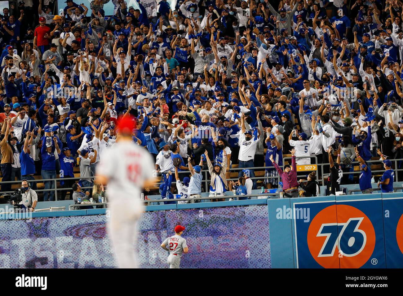 True Blue Dodger Fans in Photos – NBC Los Angeles