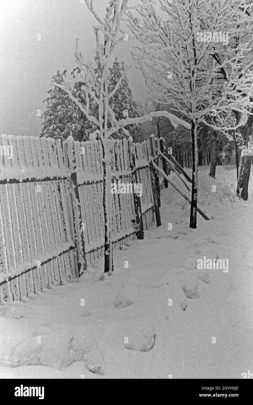 Ein zugeschneiter Garten, Deutschland 1930er Jahre. A garden snowed in, Germany 1930s. Stock Photo