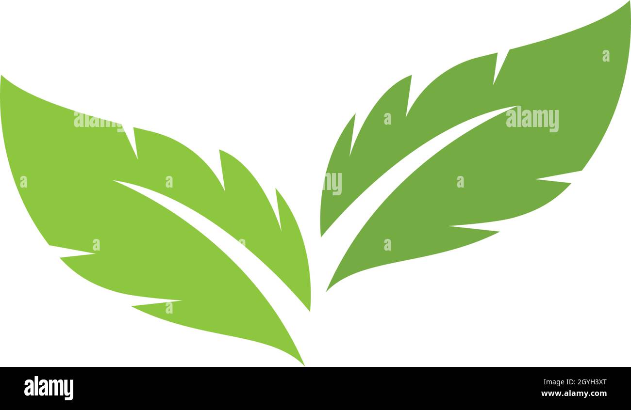 Logos of green leaf ecology nature element vector Stock Vector Image ...