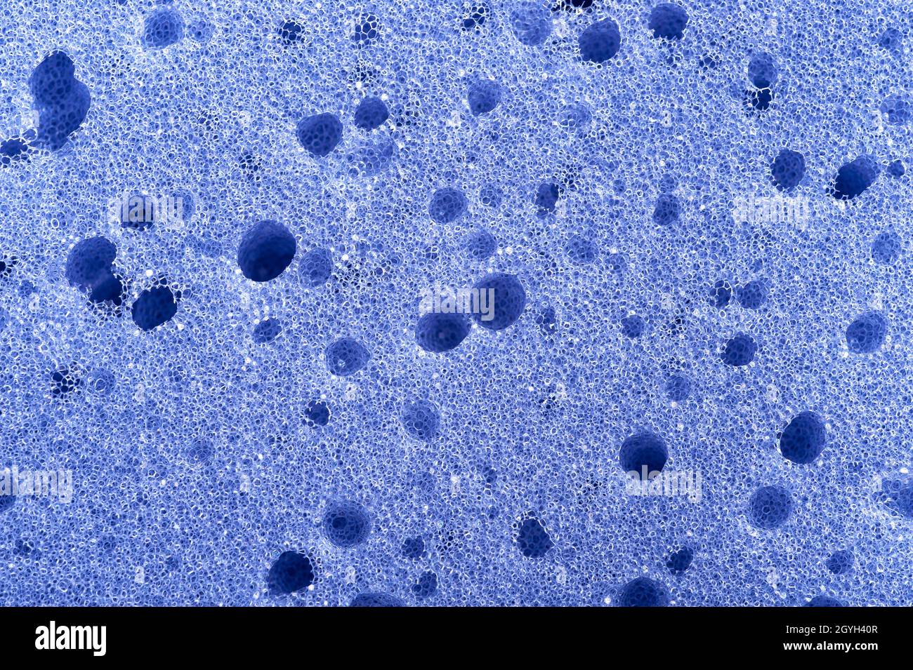 Texture Of Blue Sponge Close Up Macro Photo Stock Photo Alamy