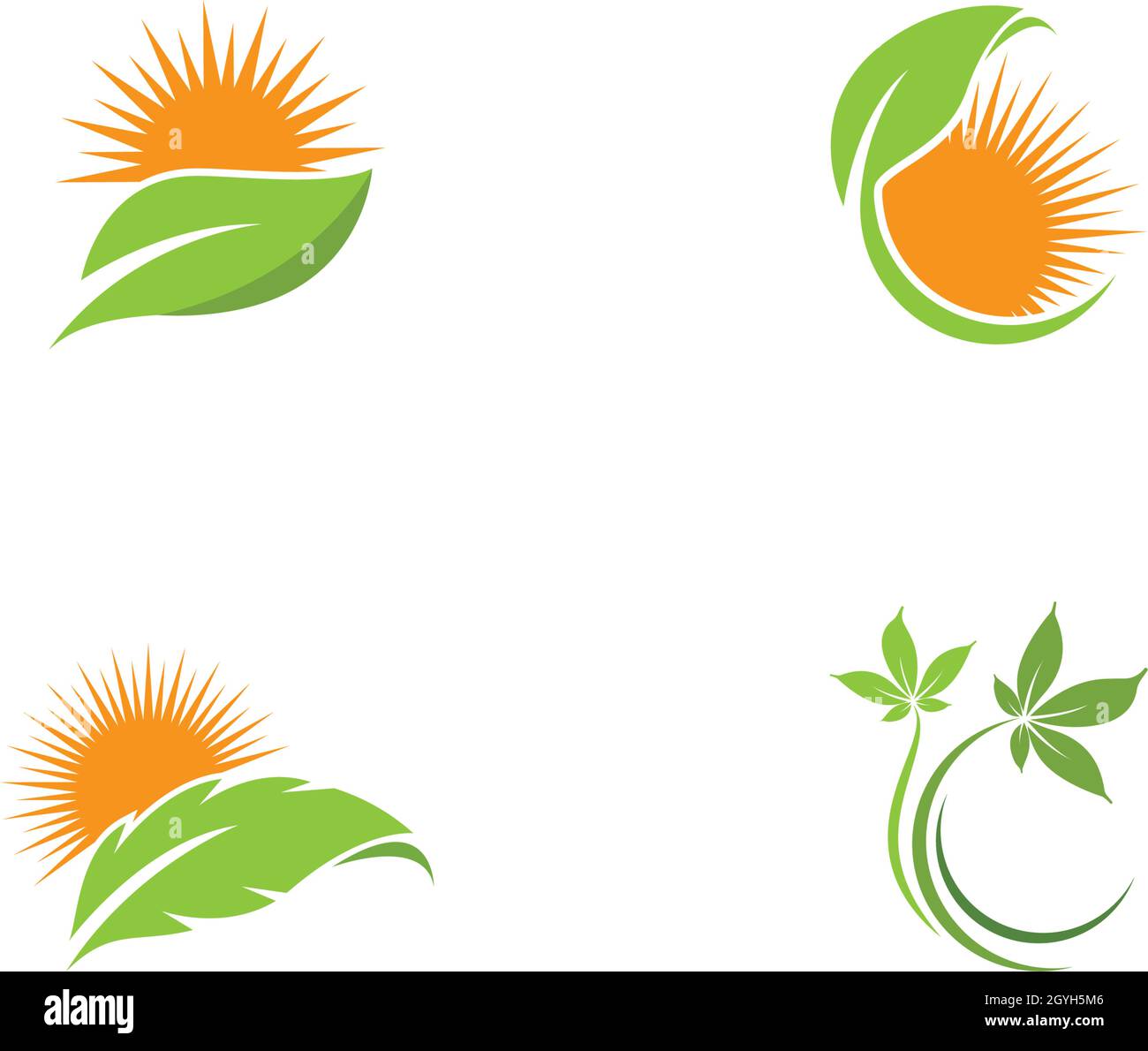 green leaf logo vector template Stock Vector Image & Art - Alamy