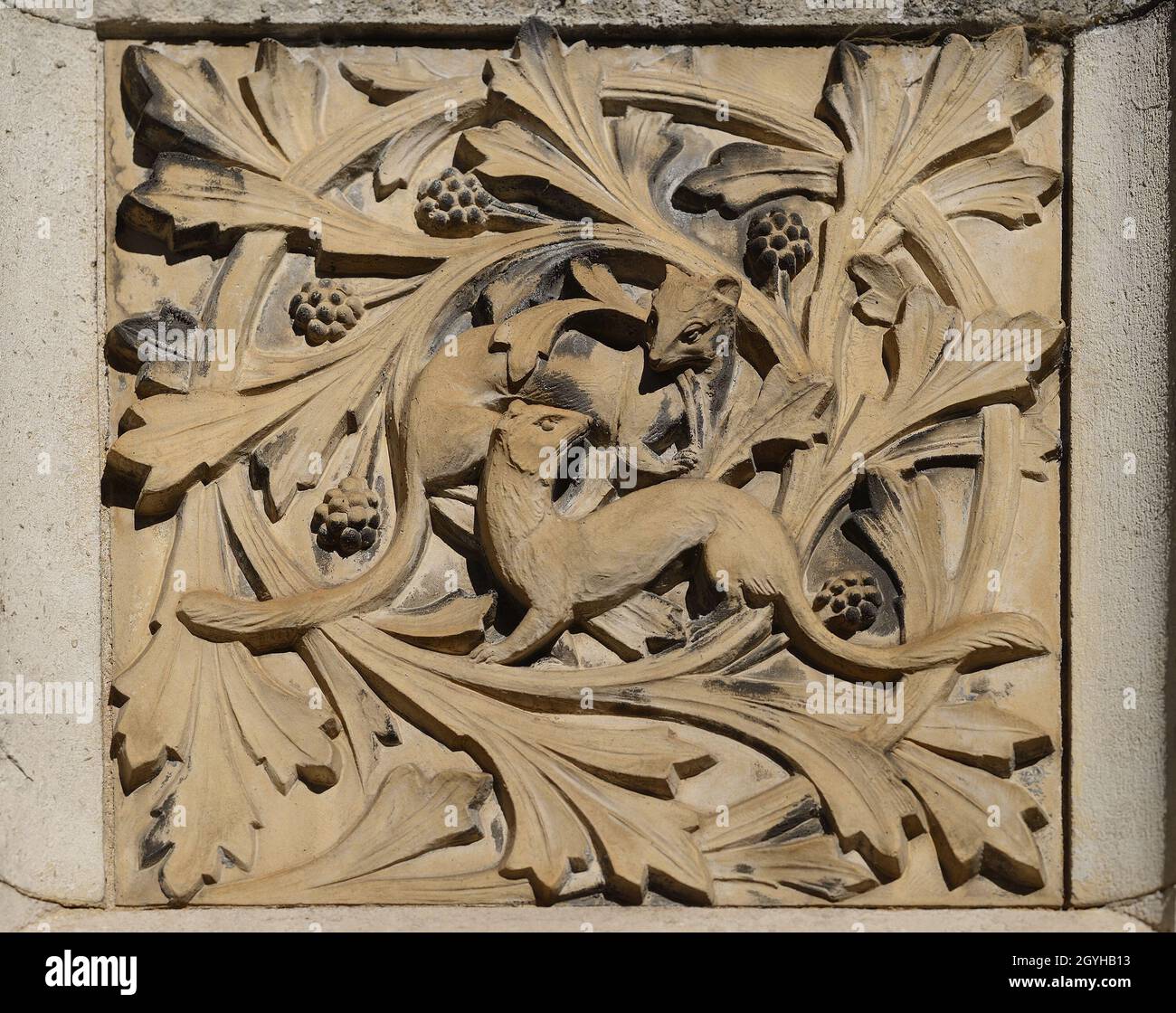 London, England, UK. Natural History Museum, Kensington. Carved relief  stone panel on the Cromwell Road wall depicting animals: weasels / stoats  Stock Photo - Alamy