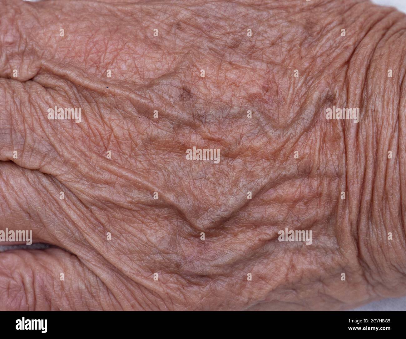 Elderly man's hand on white background Stock Photo