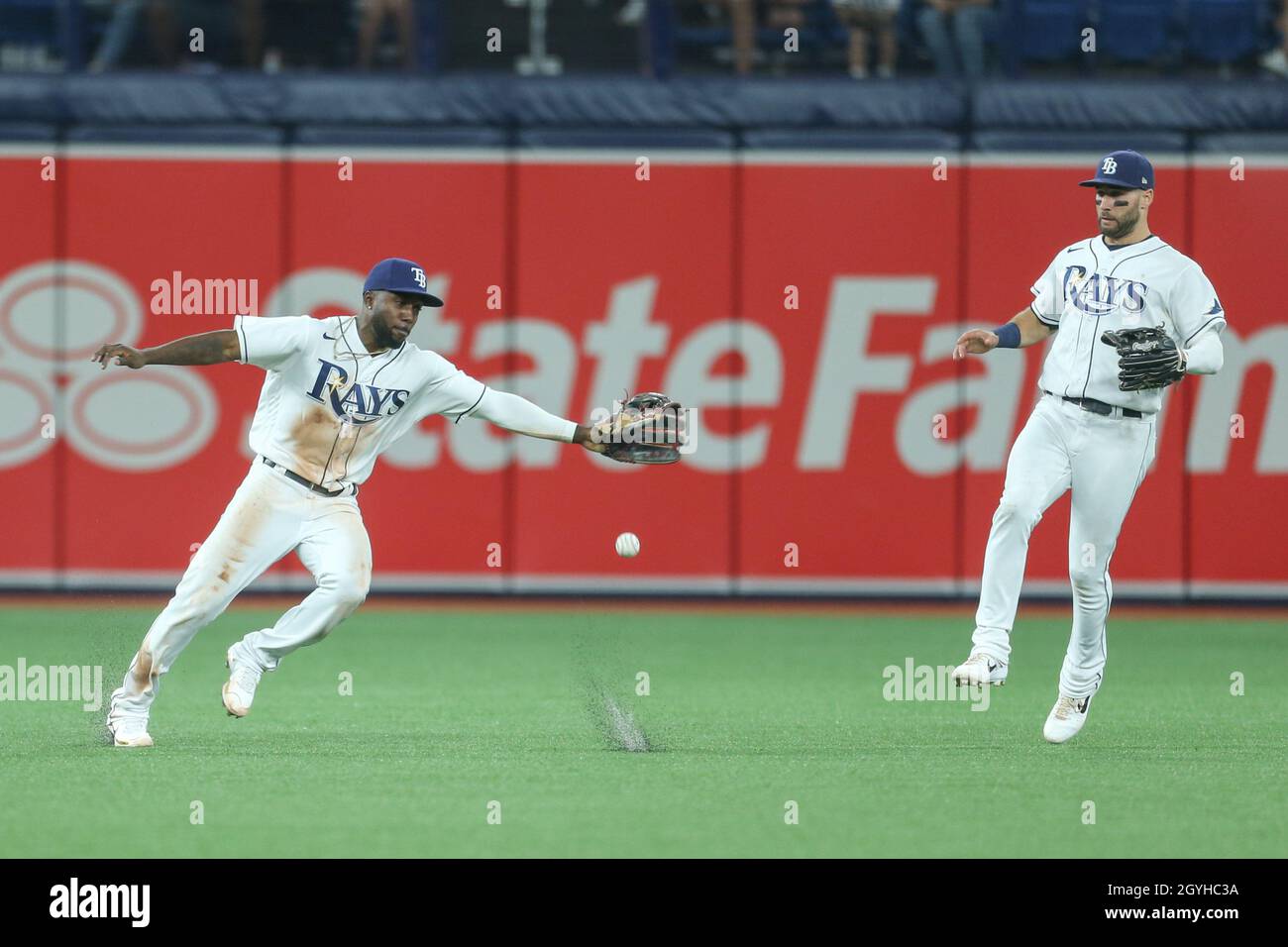 St. Petersburg, FL. USA; A Tampa Bay Rays fan proudly wears his left  fielder Randy Arozarena (56) jersey with many players autographs during a  major Stock Photo - Alamy