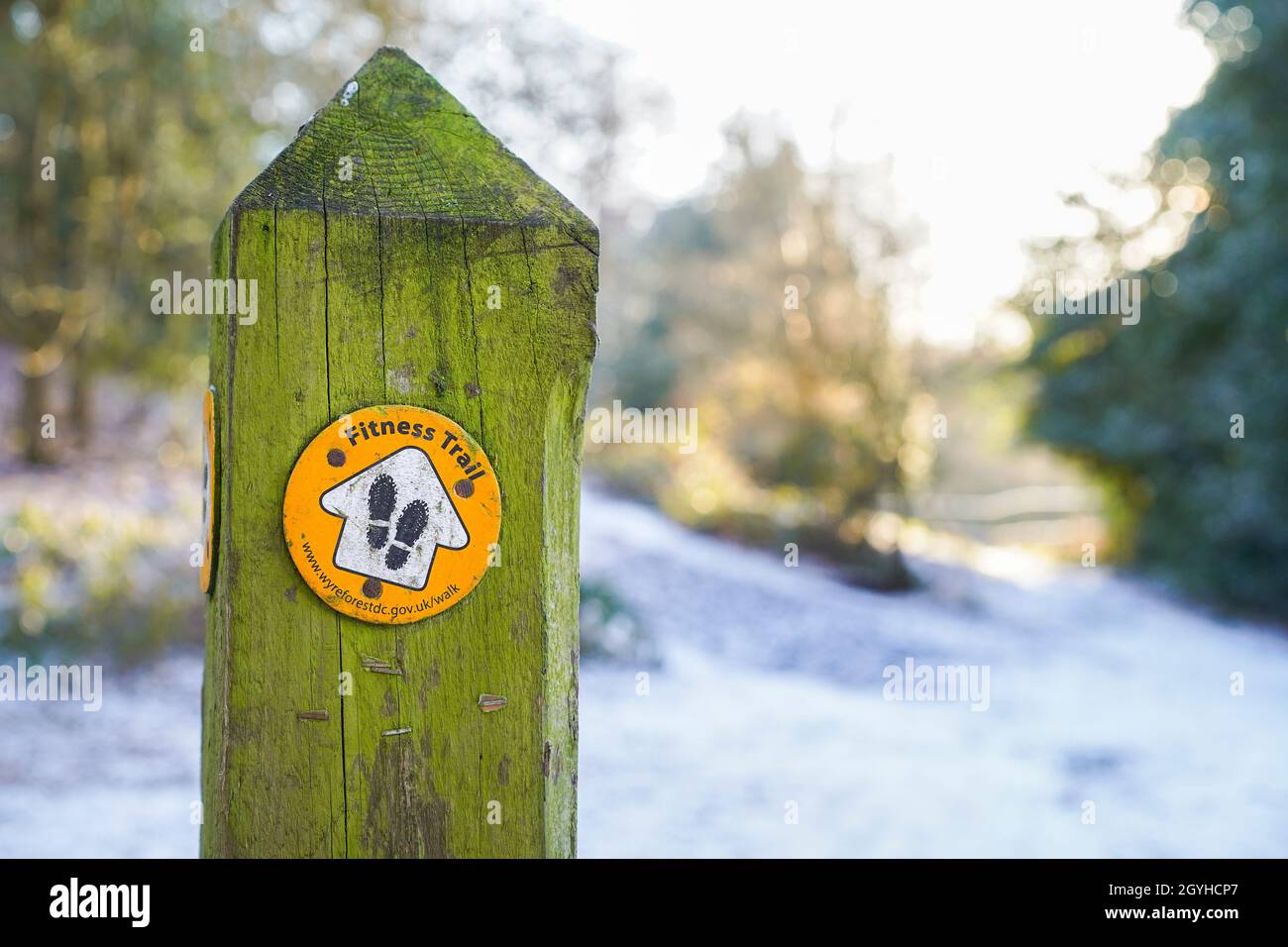 Fitness trail sign for ramblers isolated in winter countryside woodland, UK, with light snow on ground. Stock Photo