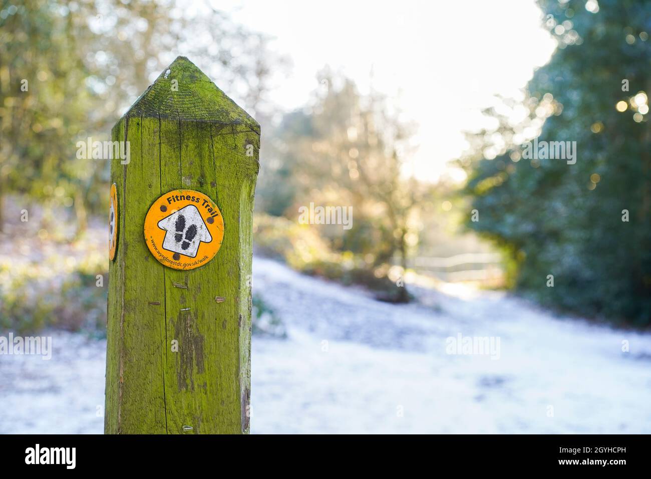 Fitness trail sign for ramblers isolated in winter countryside woodland, UK, with light snow on ground. Stock Photo