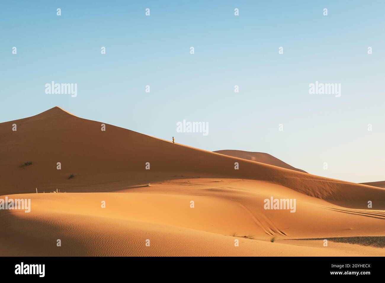 A person climbs a huge dune in the Sahara desert Stock Photo - Alamy
