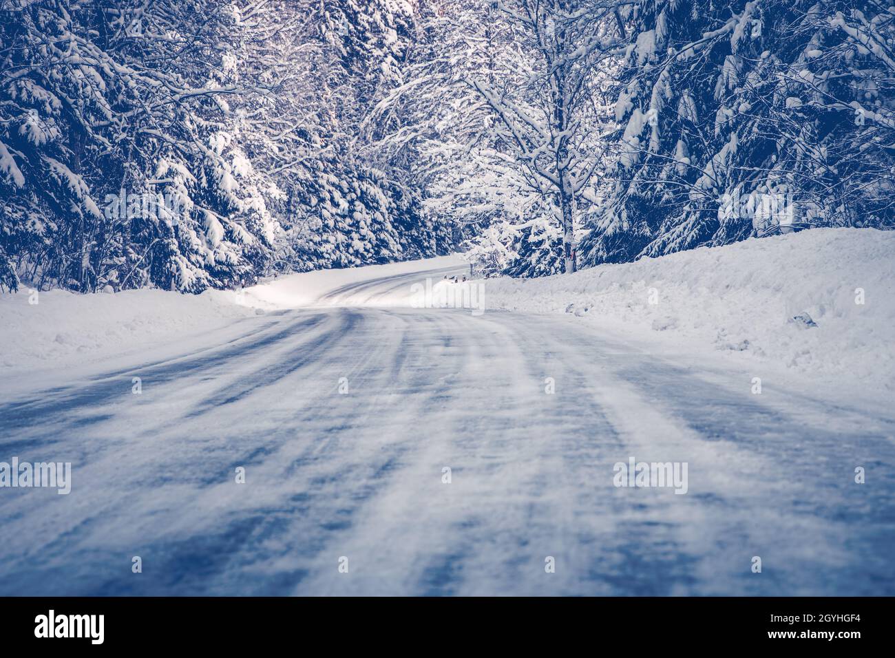 Beautiful view of the country road in winter Stock Photo - Alamy