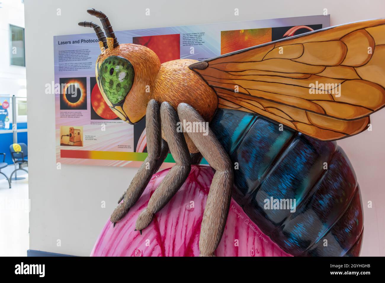 Bee-yond Expectations sculpture, historic symbol of Manchester born of industry since 1842, as displayed in atrium of MREH. Stock Photo