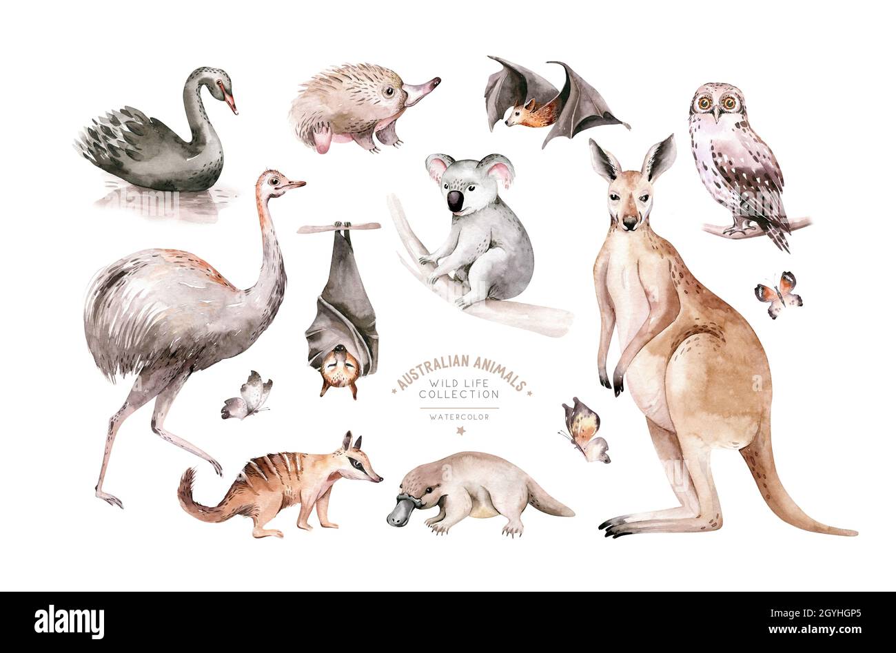 Watercolor australian cartoon kangaroo seamless pattern. Australian