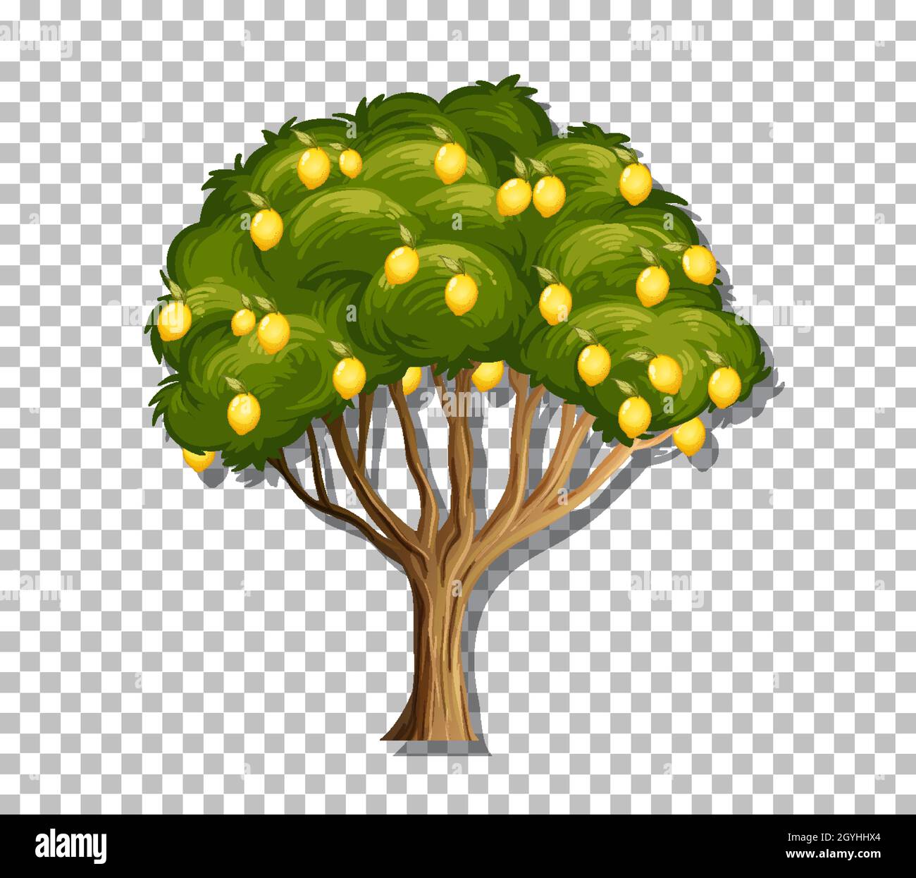 Lemon tree on transparent background illustration Stock Vector Image ...